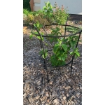 Metalowe podpory do kwiatów